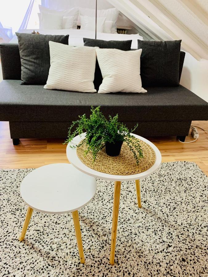 In Direkter Naehe Zur Uniklinik Homburg Apartment Homburg (Saar)