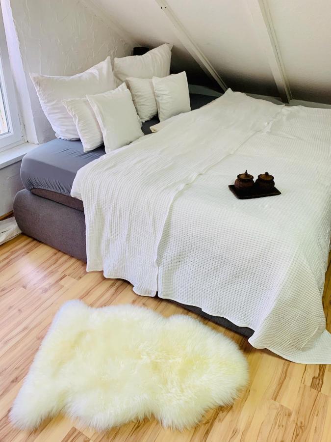 Apartment In Direkter Naehe Zur Uniklinik Homburg
